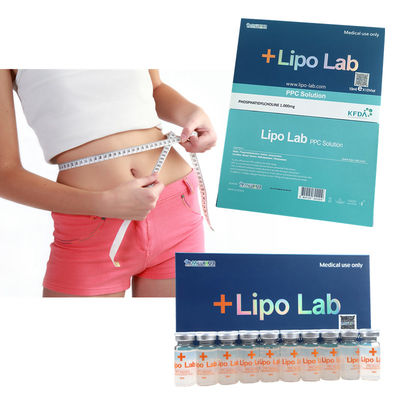 Injeções Lipolytic da solução do Ppc do laboratório de Lipo do pescoço 10ML para dissolver o soro gordo da barriga